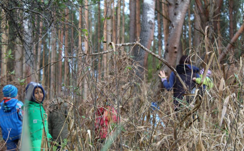 Max Mio – Das Wildschwein