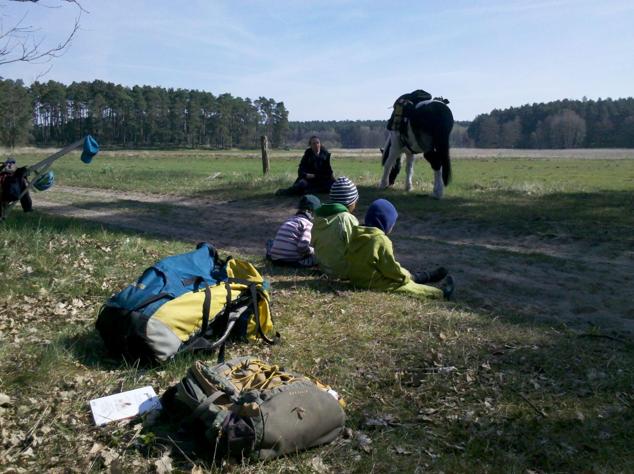 Pony-Wanderung durch das Finowtal