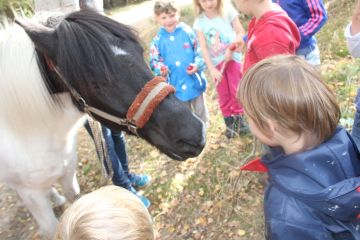 Unser Pony fährt zur Ostsee