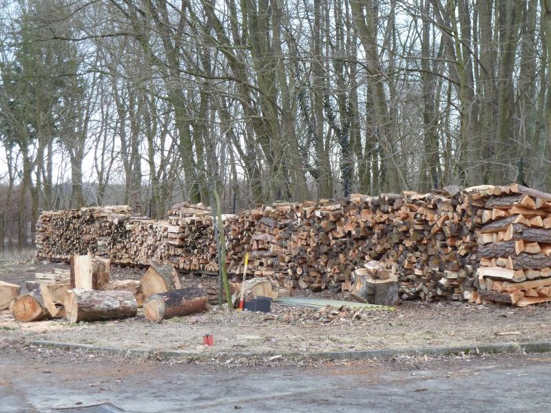 Holzvorrat für die Kita
