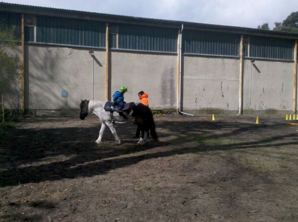 Voltigieren mit dem Pony
