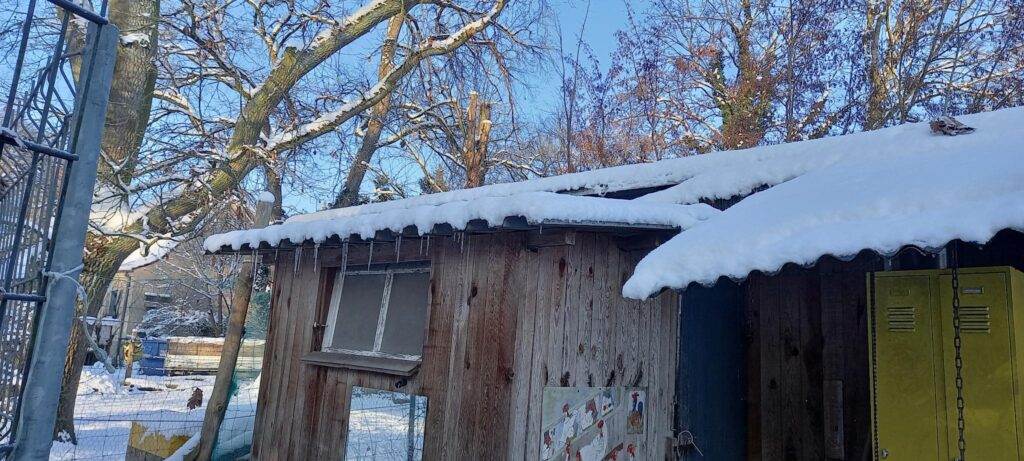 Eiszapfen im Waldkindergarten