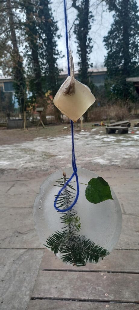 Naturpädagogik im Winter